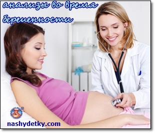 анализы во время беременности