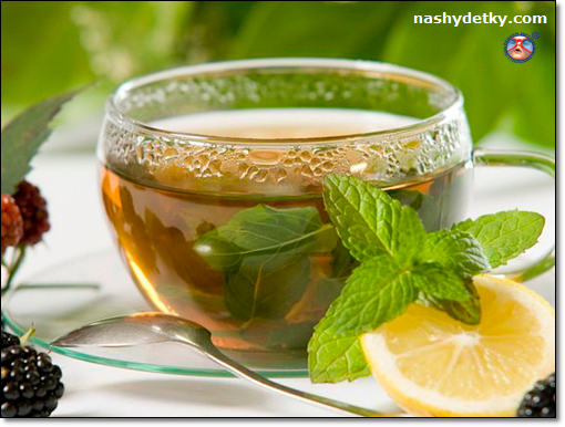 имбирный чай с мятой и мелиссой